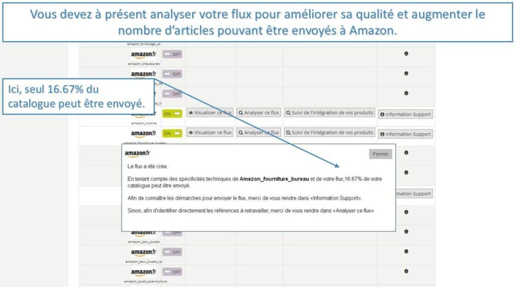 analyse_flux_amazon